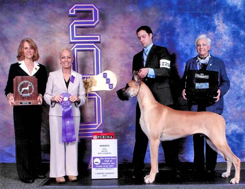 Murphy - Winners Dog