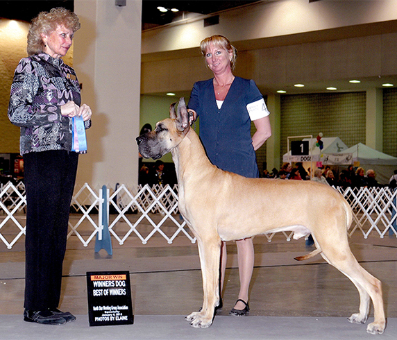 Dusty - Northstar Working Group