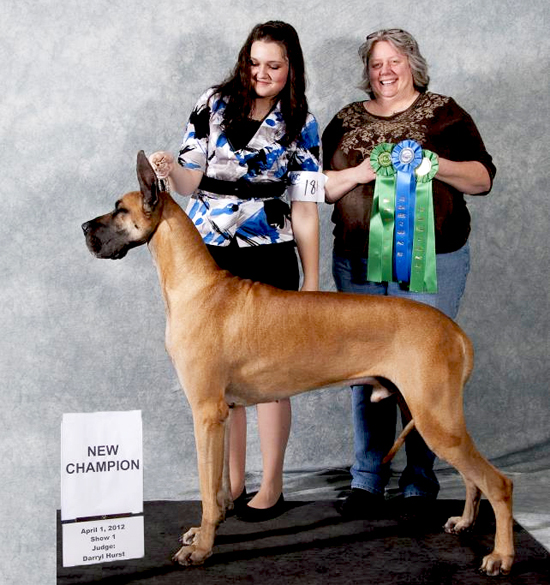 Dusty - UKC Champion