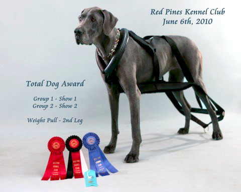 Bayou - Red Pines Kennel Club - June6, 2010