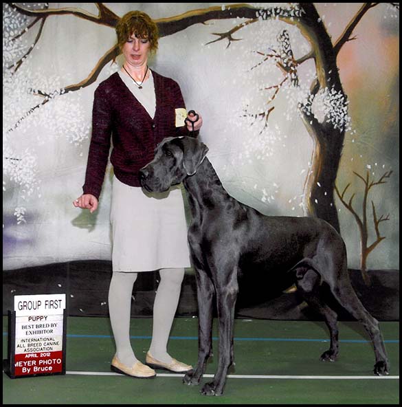 Taz - Natl/Intl JHA Champion