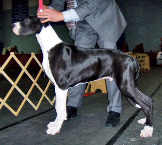 Ramone with Jeff Lawrence