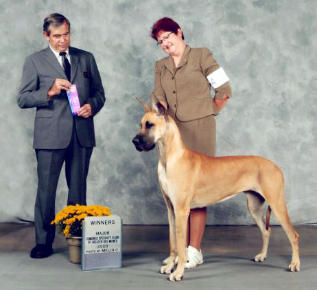 Emma - 4 pt Major- Des Moines, IA