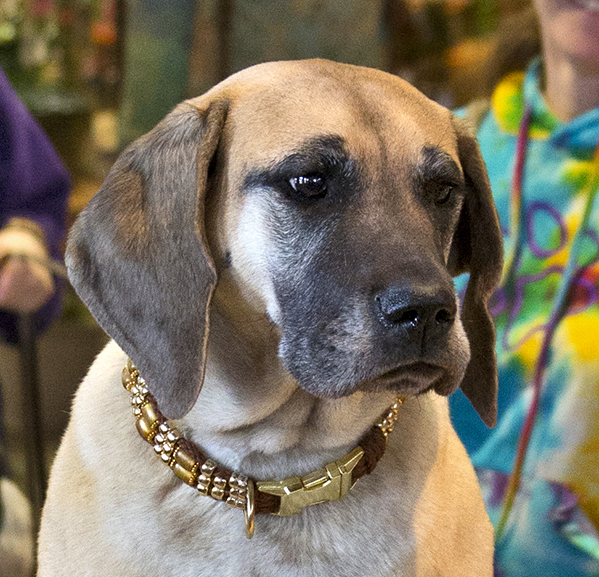 Hash at the Arboretum