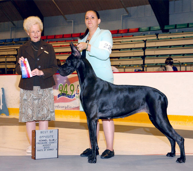 Sassy's win in Albert Lea, MN - August 15, 2010