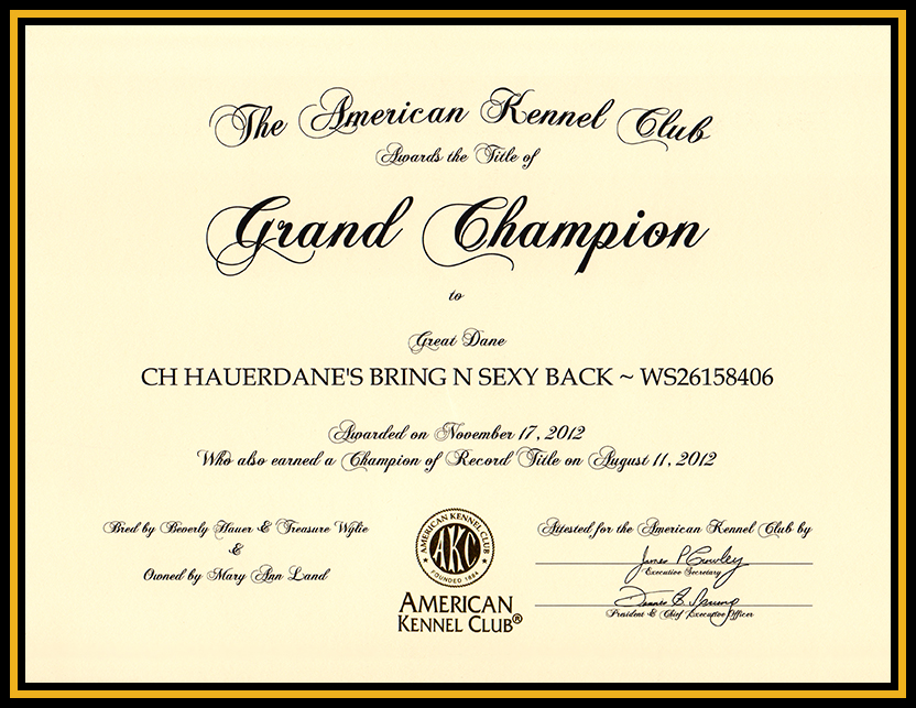 Sassy - Grand Championship