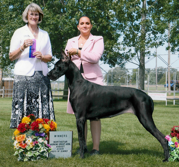 Sassy going Winners Bitch - Judge Nancy Simmons