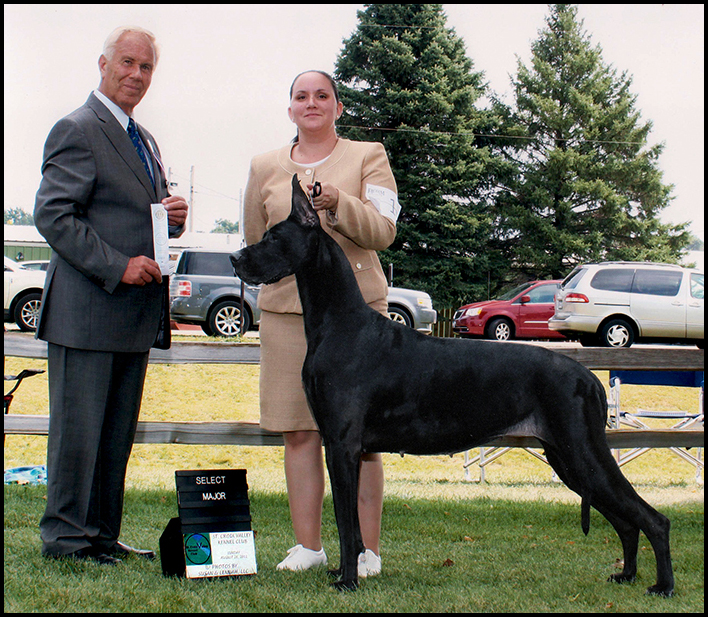 Sassy - Select Bitch - SCVKC Sunday 2012