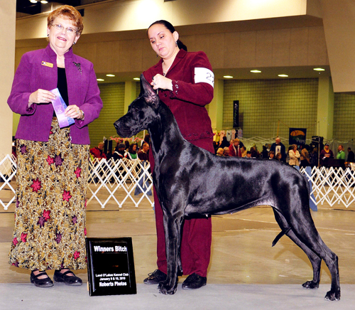 Sassy - Winners Bitch - January Land O Lakes KC 2010