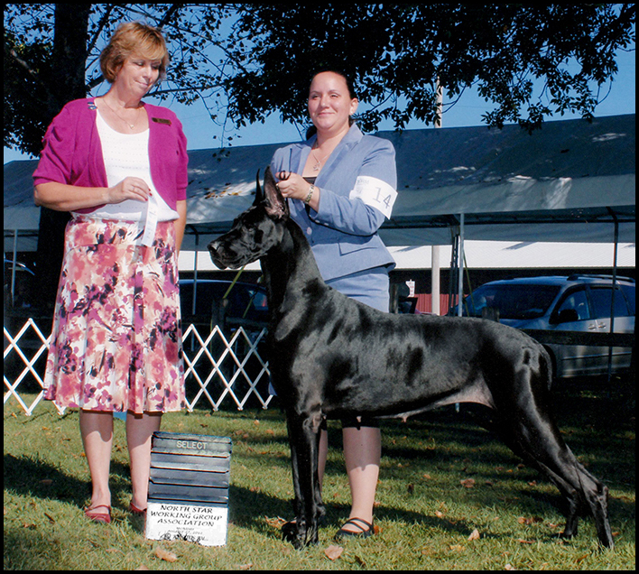 Sassy - Select Bitch - Northstar Working Group - August 2012