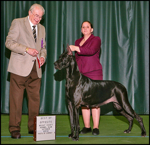 Sassy - Wright County K.C. 2012