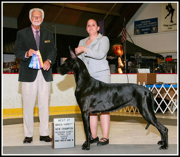 Sassy - New Champion