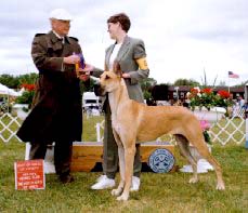 Zinka at the Key City K.C. show