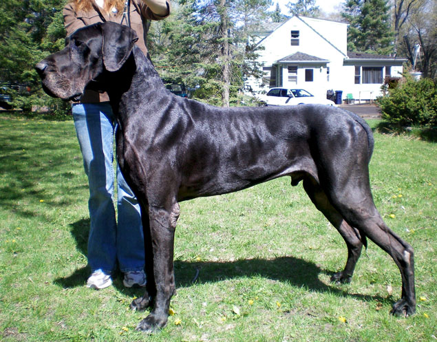 Dylan and Sue Goetzke