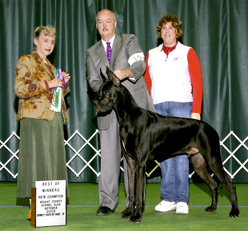 RJ - Best of Winners - New Champion