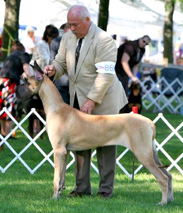 Moon Rvr N Shady Crks Im N Vouge