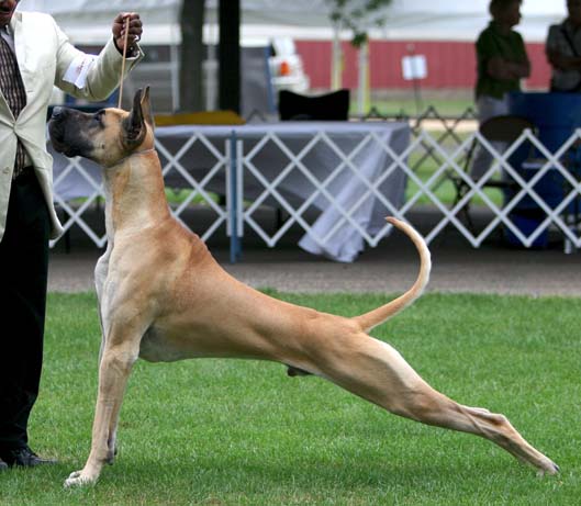 Danny Boy stretching it out!