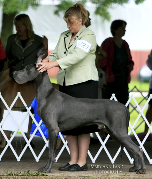 Stuhr's American Graffiti