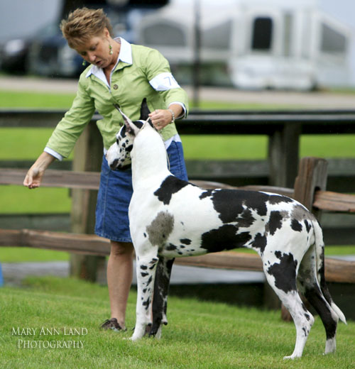 Kathy Melnyk with Piper