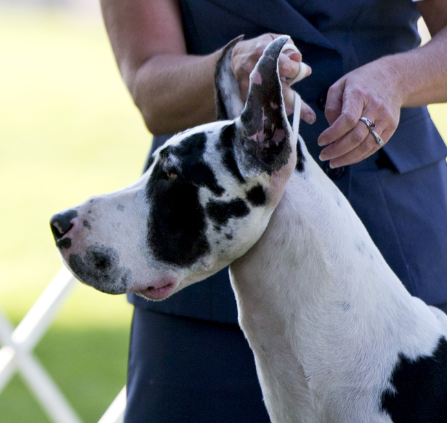 ABW KRW One in a Million