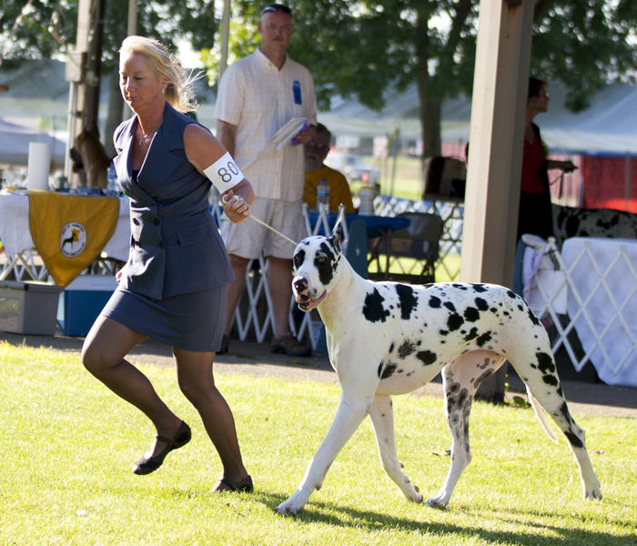 ABW KRW One in a Million