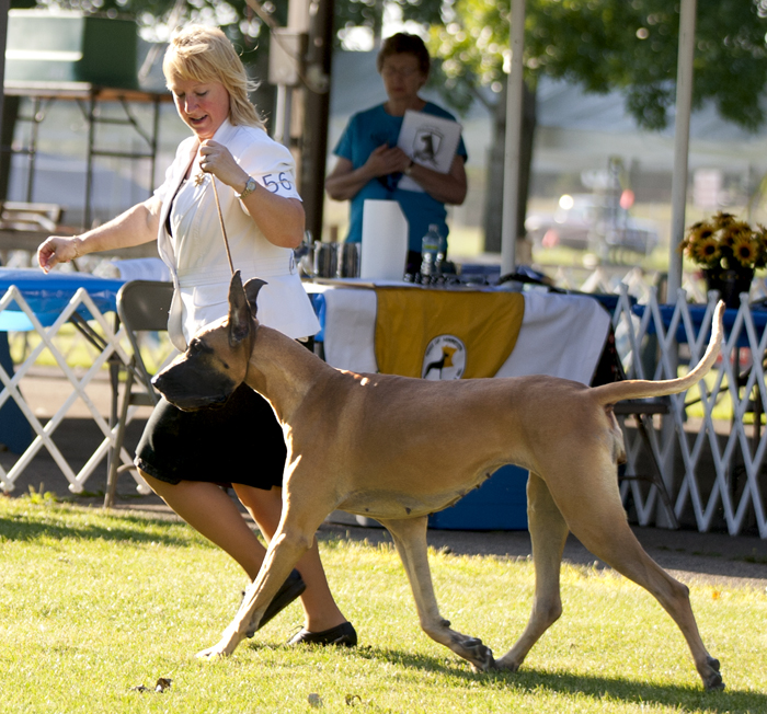 CH Hi-Air MJM Cherokee Maiden