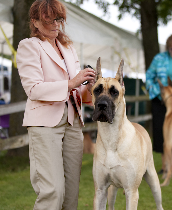 Dundane's Over The Moon