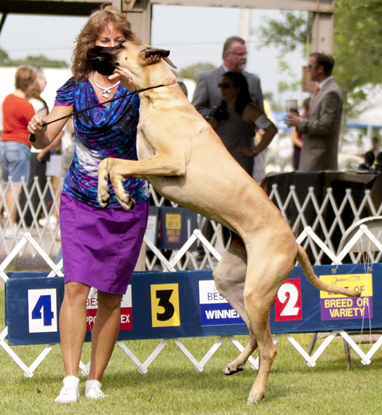 Divine Acres Shadow Caster Girl