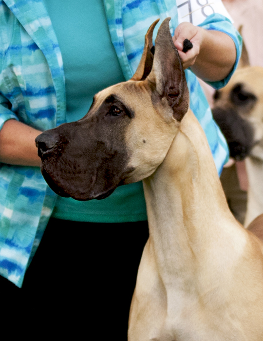 Hauerdane's I've Got The Magic N' Me