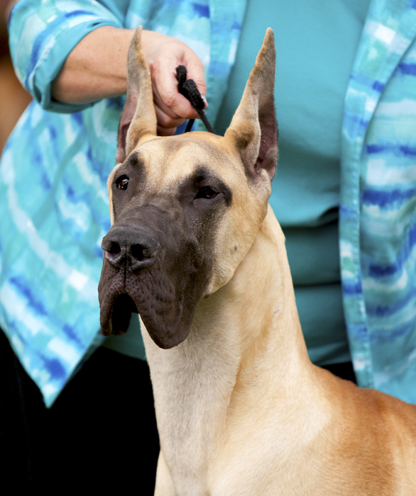 Hauerdane's I've Got The Magic N' Me