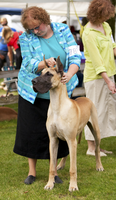 Hauerdane's I've Got The Magic N' Me