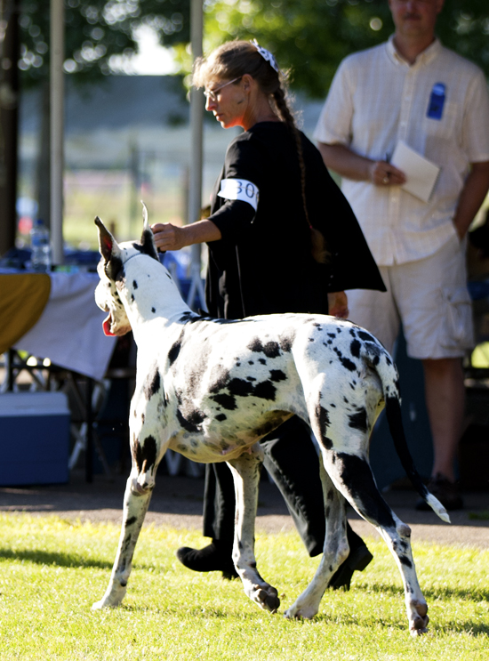 Liberty's Mission Impossible