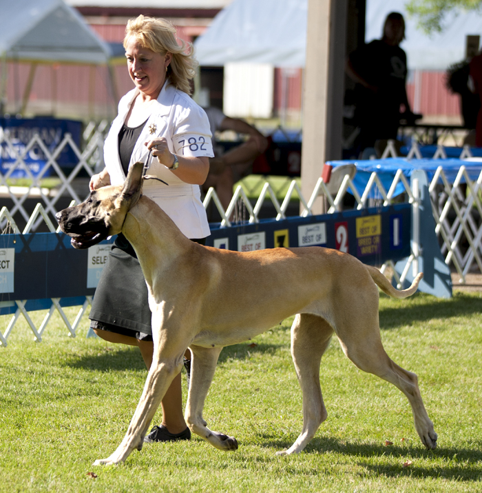 Moonriver's I Feel Pretty