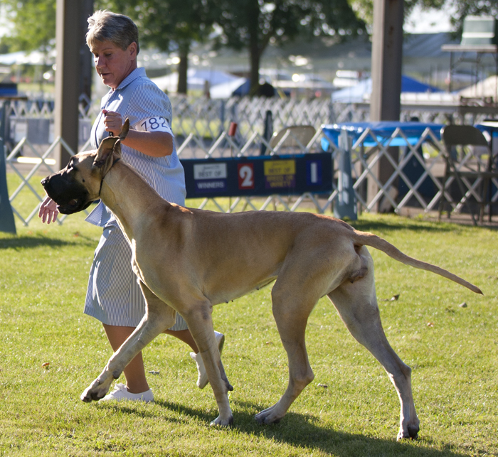 Moonriver's I Feel Pretty