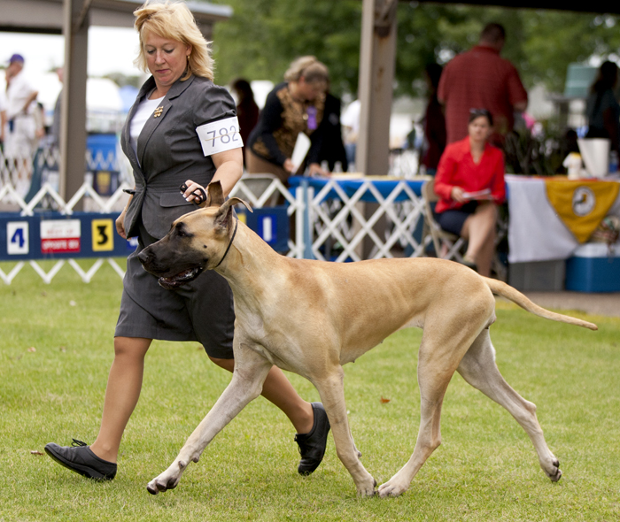 Moonriver's I Feel Pretty