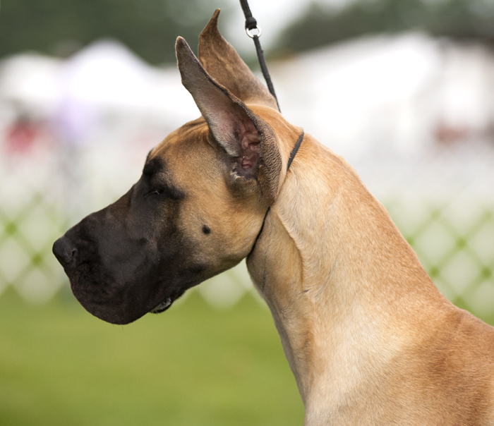 Moonriver's I Feel Pretty