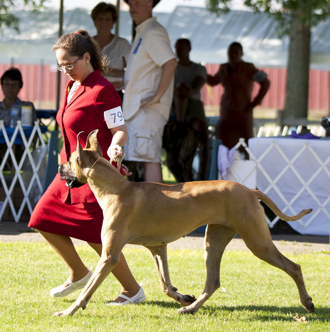 Mirabilevisu's Charm'd N Dangerous