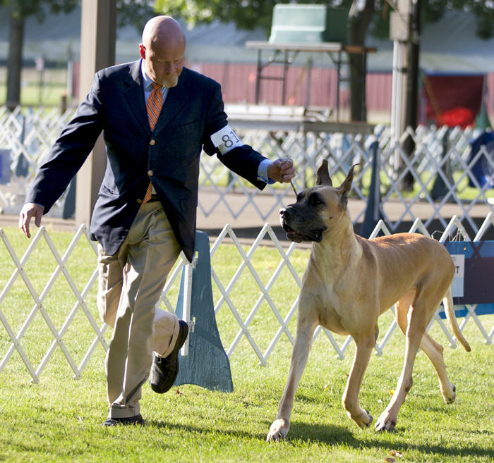 Nanlyn Butterscotch Delight