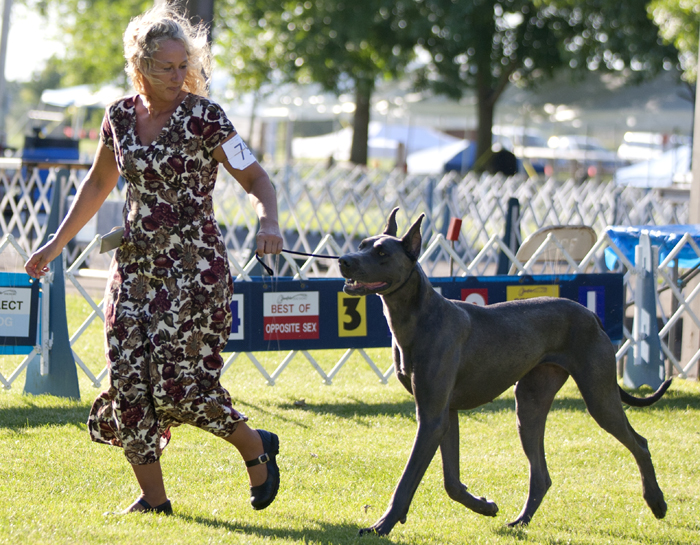 Northernaire's Loochi Maja