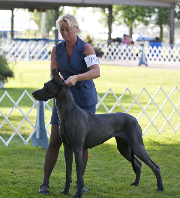 Northernaire's Loochi Maja