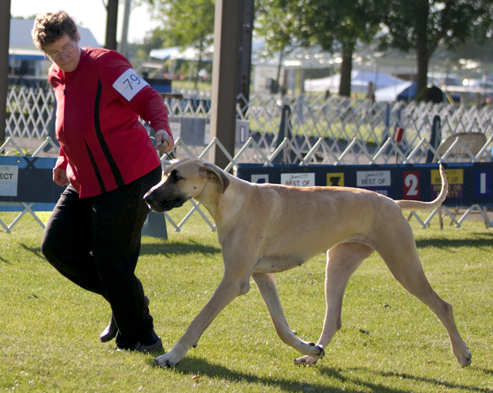 Shakti-Starz Miss Congeniality