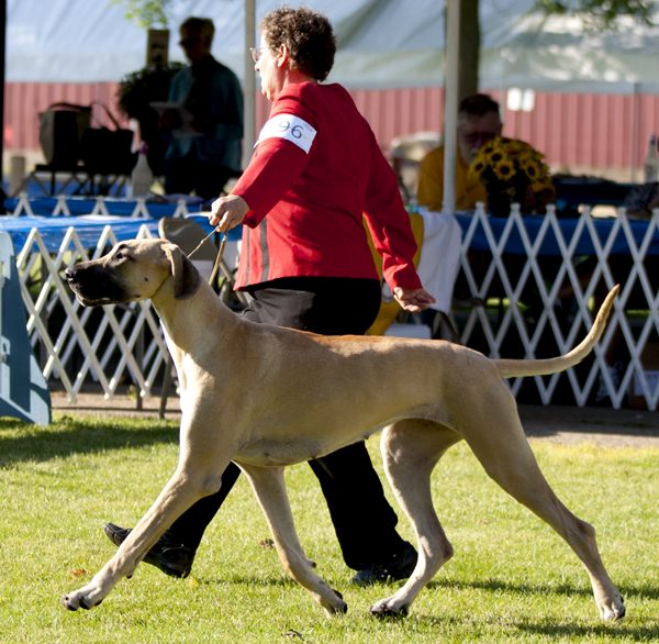 Shakti - Starz Miss Congeniality
