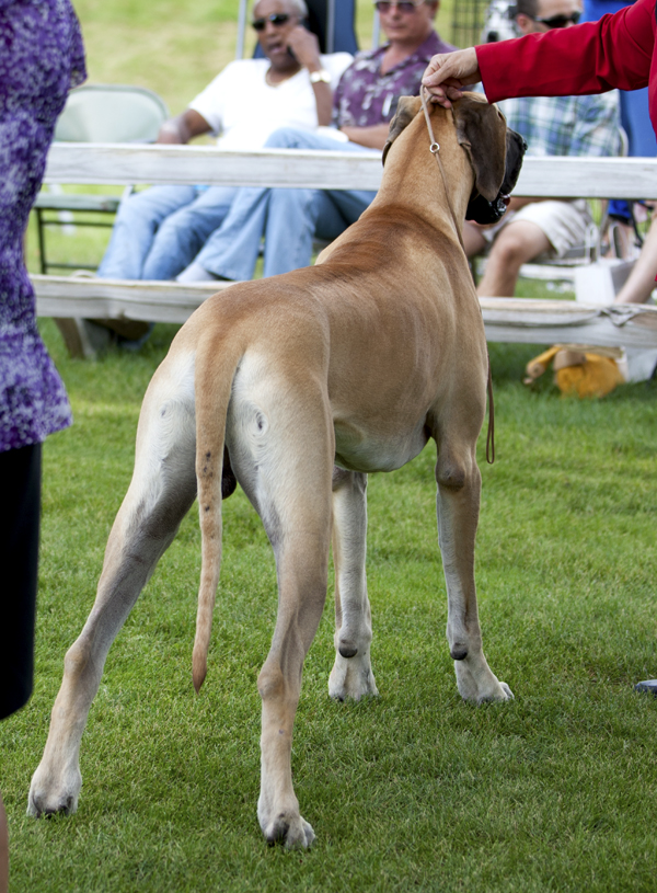 Shakti-Starz You Can't Be Siruis