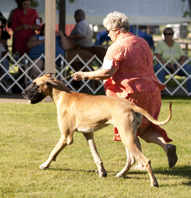 Shakti-Starz Anya Mark Get Set Go