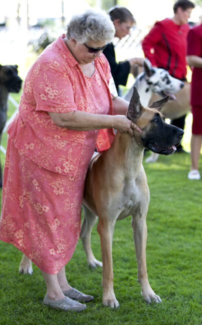 Shakti-Starz Anya Mark Get Set Go