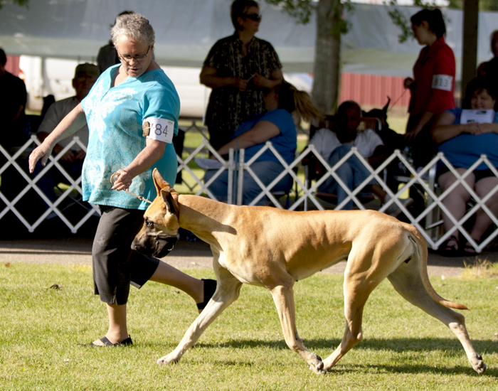 Sumner's Moonstruck At Shady Crk