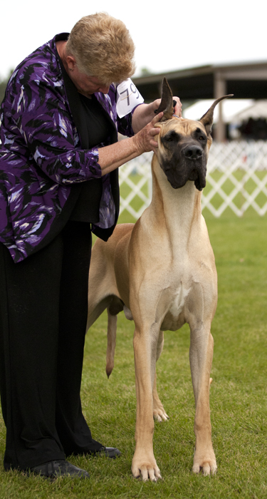 Stargazn At World's End v Mesaba