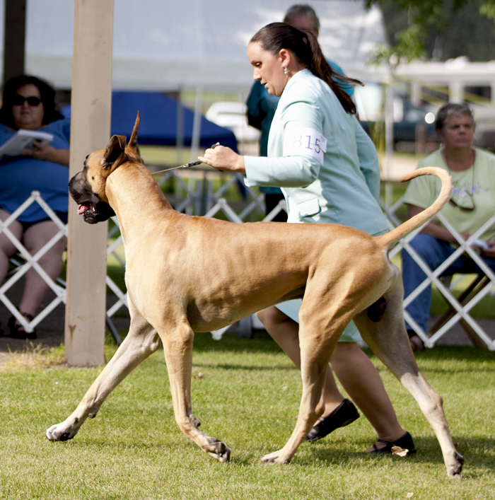 Stargazn's Spectacular Bid