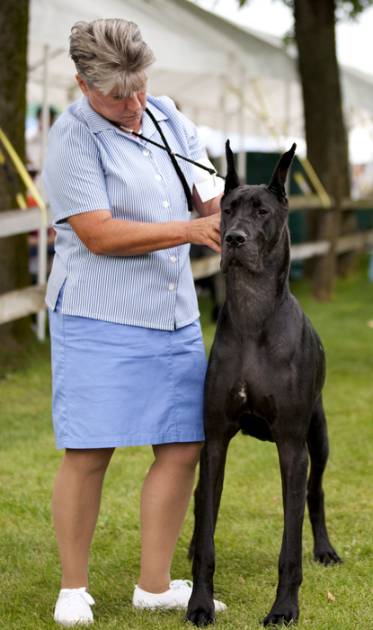 Thornhills Irish Lullaby of Katcrew