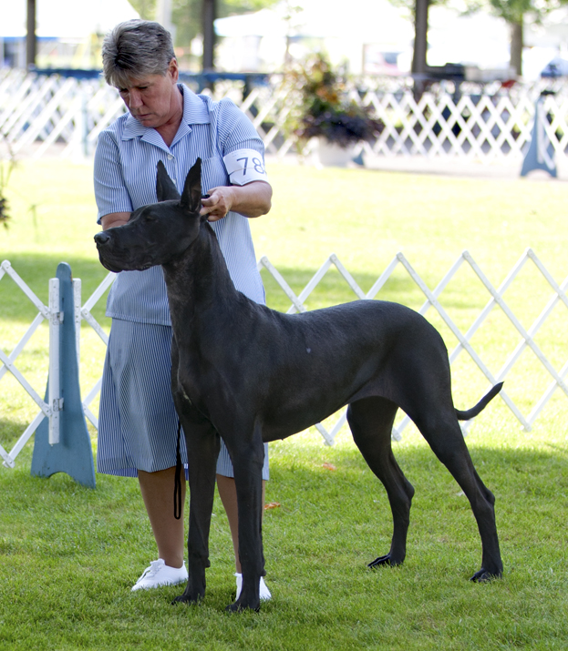 Thornhill's Irish Lullaby of Katcrew